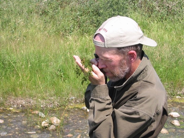 Rick examining the green alga Chara vulgaris in a hot spring on the Lewis and Clark trail.