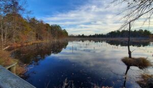 pond at Black Run