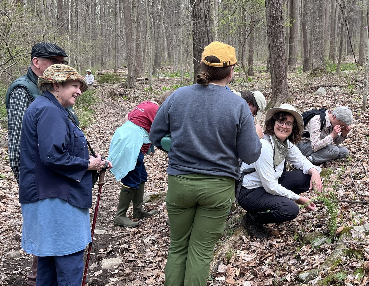 Bot Club Great Marsh woods